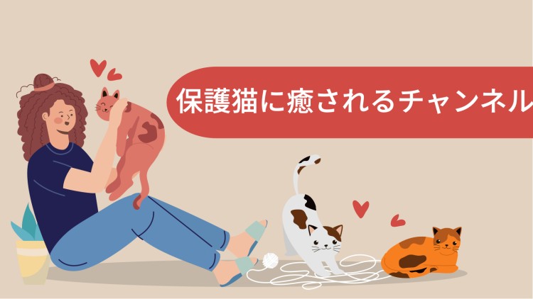 cook 今日なに作ろ？